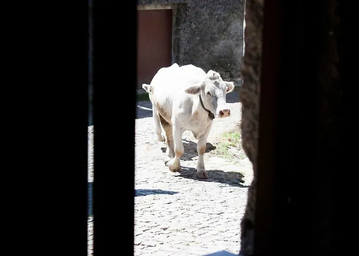 Casa Viade Maison d'hôtes Montalegre