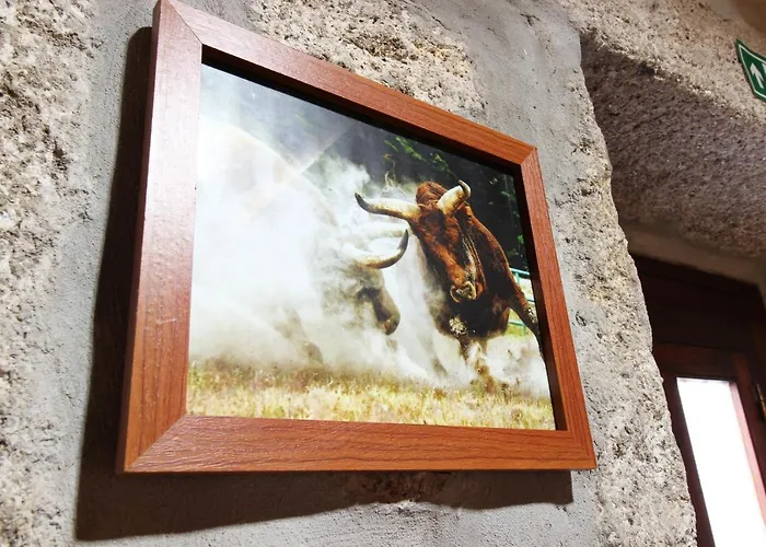 Πανσιόν Casa Viade *